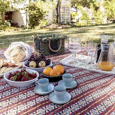Casa Da Falesia Melides Dış mekan fotoğraf